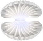 Open Clam Shell PNG Clip Art Transparent Image