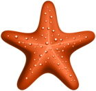 Orange Starfish PNG Clipart