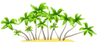 Palm Trees PNG Clipart