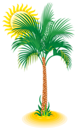 Palm and Sun PNG Clip Art Image