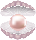 Pearl Shell Transparent PNG Clip Art Image