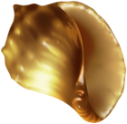Rapana Shell PNG Clip Art Image
