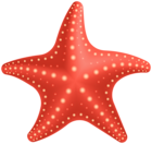 Red Starfish PNG Clipart