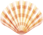 Sea Clam Shell PNG Clip Art Image