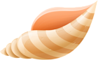 Sea Shell PNG Clip Art Image