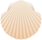 Sea Shell PNG Clipart