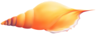 Sea Shell Transparent Image