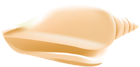 Sea Shell Transparent PNG Clip Art Image