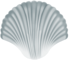 Sea Shell White PNG Clipart