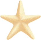 Sea Star PNG Clip Art Image
