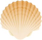 Seashell PNG Clip Art Image