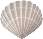 Seashell PNG Clipart Image