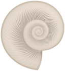 Seashell PNG Transparent Clipart