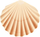 Seashell Transparent PNG Clip Art Image
