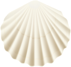 Seashell White Transparent PNG Clip Art Image
