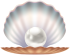 Seashell and Pearl Transparent Image
