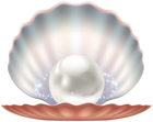 Seashell with Pearl Transparent Image