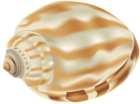 Shell PNG Clip Art Image