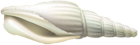 Shell PNG Clip Art Image