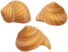 Snail Shells PNG Transparent Clipart