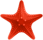 Starfish PNG Clip Art Image