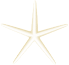 Starfish Transparent Clip Art PNG Image