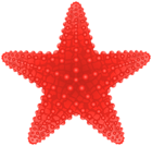 Starfish Transparent PNG Clip Art Image