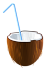 Summer Coconut Cocktail PNG Clipart
