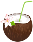 Summer Coconut Drink PNG Clip Art Image