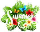 Summer Decorative Image PNG Clipart