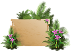 Summer Exotic Board PNG Clipart