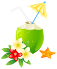 Summer Exotic Coctail PNG Clipart Image