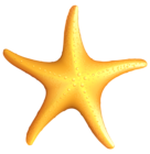 Transparent Beach Starfish PNG Clipart