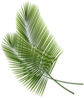 Tropical Leaves PNG Clipart Image