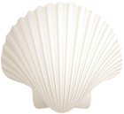 White Seashell PNG Clip Art Image