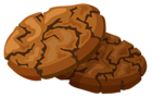 Chocolate Cookie PNG Clipart Picture