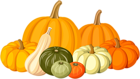 Autumn Pumpkins PNG Clip Art Image