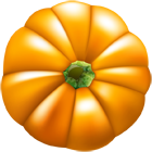 Orange Pumpkin Clip Art Image