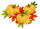 Thanksgiving Pumpkin Decoration PNG Clipart