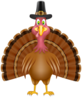 Thanksgiving Turkey PNG Transparent Clipart