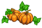 Transparent Pumpkins PNG Clipart Picture
