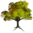 Autumn PNG Tree Clipart