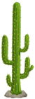 Cactus PNG Clipart