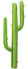 Cactus PNG Transparent Clip Art Image