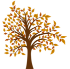 Fall Tree PNG Clipart Image
