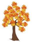 Fall Tree PNG Image