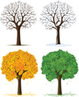 Four Seasons Trees PNG Clipart