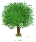Green Tree Transparent PNG Clipart Picture