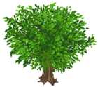 Large Green Tree Transparent PNG Clipart Picture