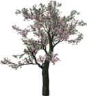 Large Spring Tree Clipart
